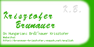 krisztofer brunauer business card